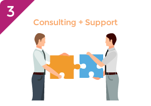 Consulting + Support